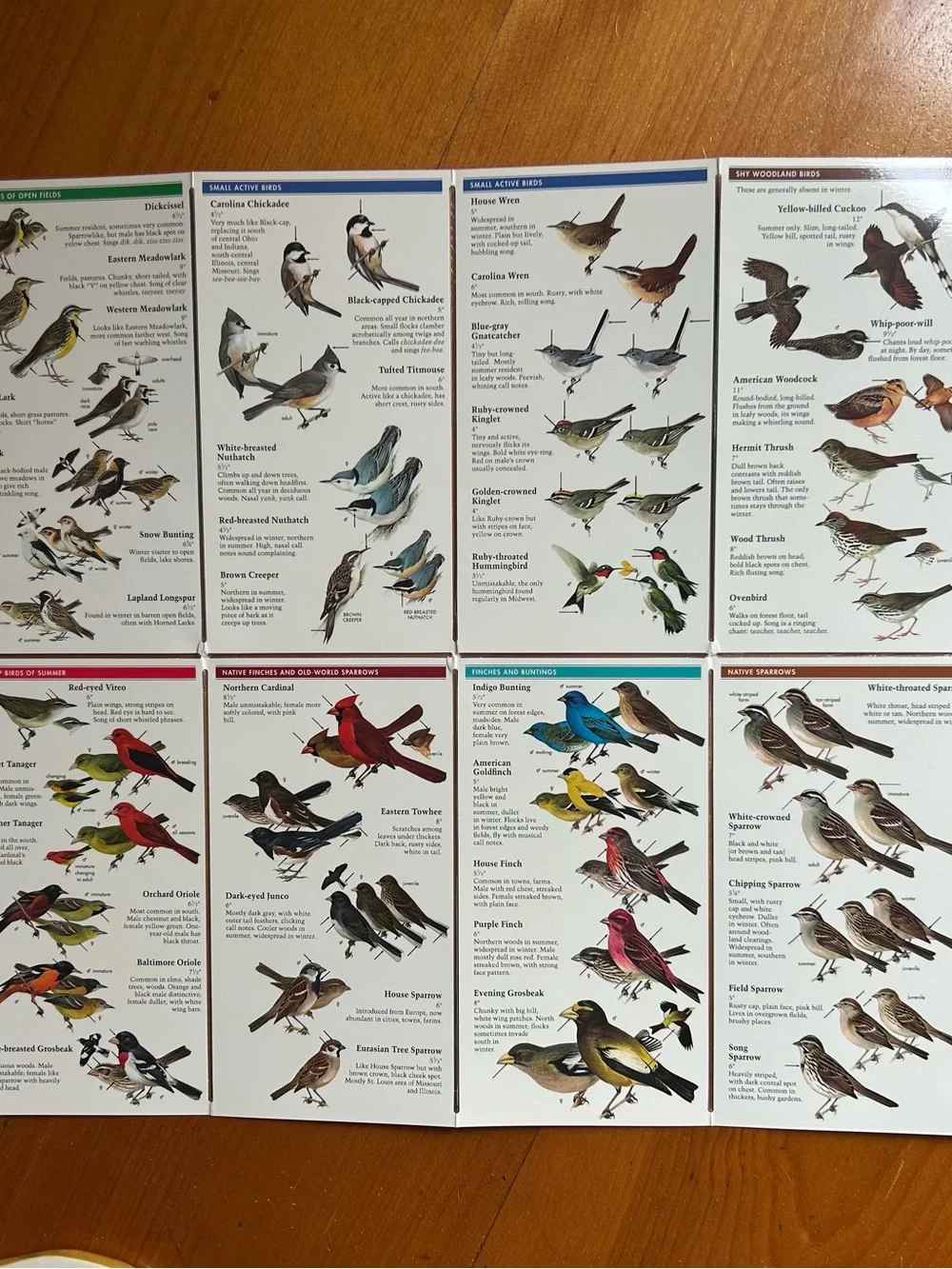 N/A birds midwest